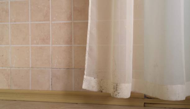 Best Comprehensive Air Testing for Mold Contaminants  in Hanahan, SC