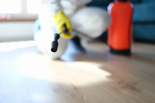 Best Air Quality Testing for Mold Spores  in Hanahan, SC