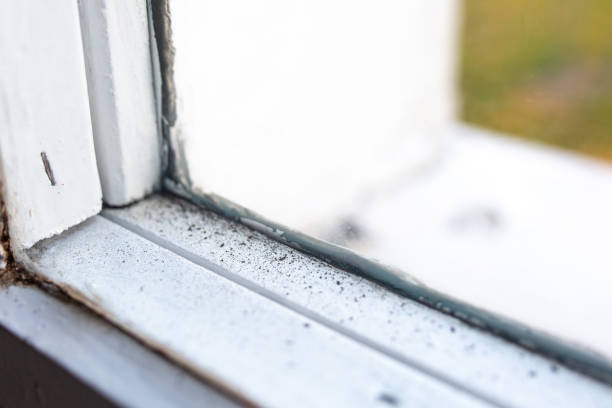 Best HVAC Mold Inspection and Cleaning  in Hanahan, SC