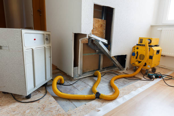  Hanahan, SC Mold Removal Pros