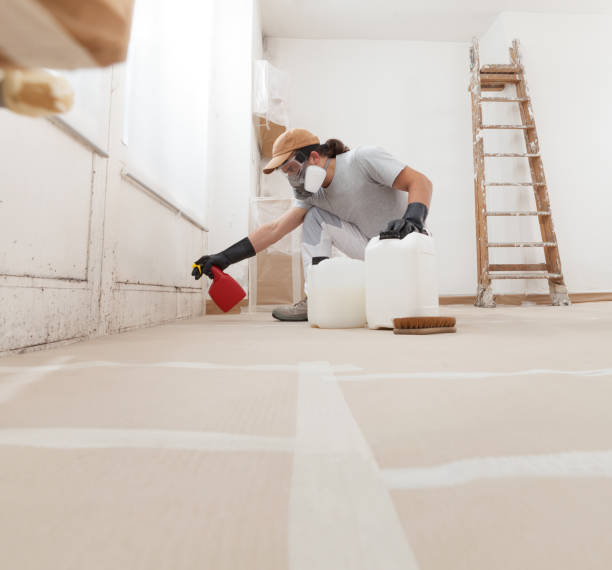 Best Commercial Mold Inspection  in Hanahan, SC